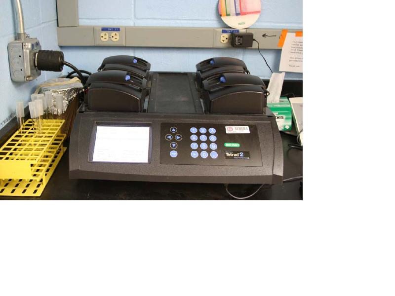 Tetrad-PCR